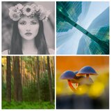 tl_files/fotodialoge/content/0_Logo und mehr/Kursgalerie von Fotodialoge.jpg tl_files/fotodialoge/content/0_Logo und mehr/Kursgalerie von Fotodialoge.jpg