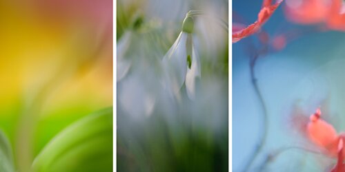 Headerbild_Wir über uns Headerbild_Wir über uns